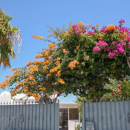 Oliveira By Buenavilla Пуэрто дель Кармен