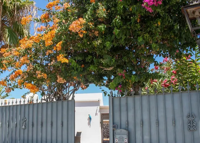 Oliveira By Buenavilla Вилла *