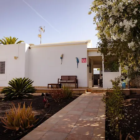 Oliveira By Buenavilla Puerto del Carmen (Lanzarote)