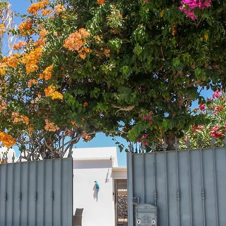 Oliveira By Buenavilla فيلة *